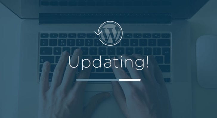 How to update your WordPress website yourself